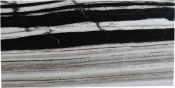 99004Panda-CT alternate view 6
