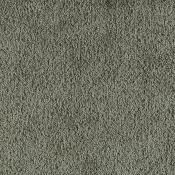 B1235Green-T alternate view 7