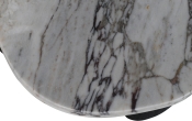 99058Viola-CT alternate view 2