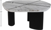 99058Viola-CT Dim