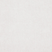 608Cream-Ott alternate view 3
