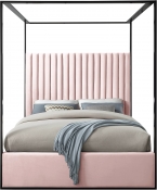 JaxPink-Q alternate view 2