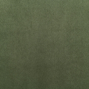 44064Green-C alternate view 6