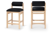 11087Black-C Double Chair