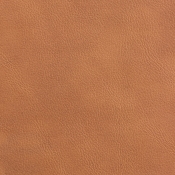 11089Cognac-C alternate view 7