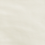 11089Cream-C alternate view 7