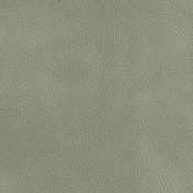 11089Green-C alternate view 7