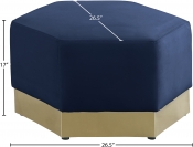 600Navy-Ott Dim