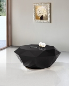 222Black-C alternate view 1