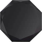 222Black-C alternate view 8