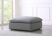 601Grey-Ott alternate view 1