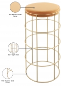941Mango-C Infographic