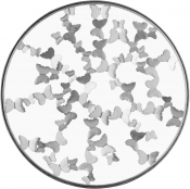 471-C alternate view 3