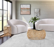 224Gold-C Lifestyle Set