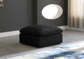 602Black-Ott alternate view 1
