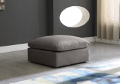 602Grey-Ott alternate view 1